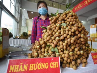 Hung Yen longan, agricultural products overcome Covid-19