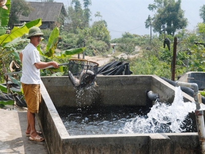 Lao Cai - Developing agriculture with a sense of place