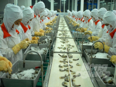 Seafood exports projected to reach USD 12 billion by 2025