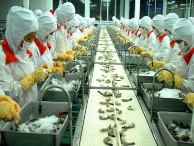 Seafood enterprises fear to face hardship