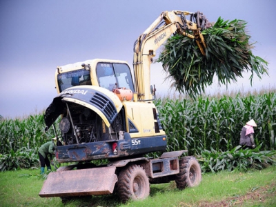 Exploiting 120 million tons of agricultural residues to feed livestock