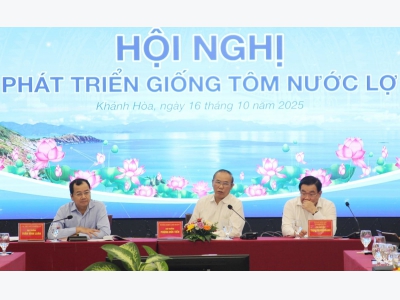 Cần sớm chủ động nguồn tôm bố mẹ để sản xuất tôm giống