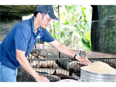 Tràn Lan Thuốc Kháng Sinh Trong Chăn Nuôi