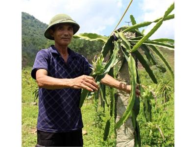 Xây Cơ Nghiệp Trên Đất Khó