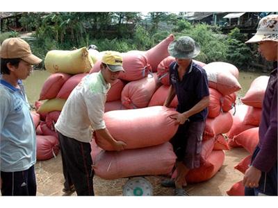 Những Nông Dân Kiểu Mới