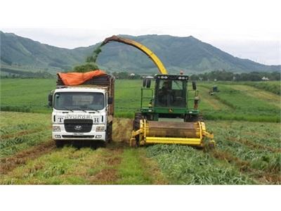 Hiến Kế Tái Cơ Cấu Nông Nghiệp Bước Đi Táo Bạo Của Tập Đoàn TH