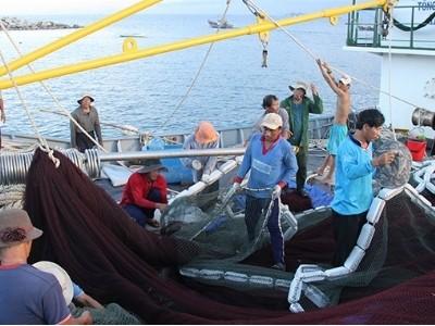 Cấm đóng mới tàu cá làm nghề lưới kéo