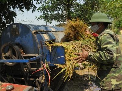 Hình thành nền nông nghiệp hiện đại