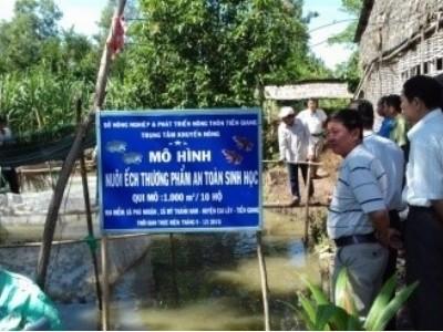 Hội thảo mô hình nuôi ếch thương phẩm an toàn sinh học