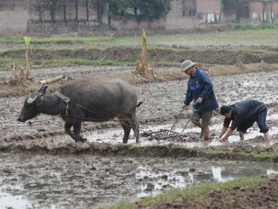 Năng suất lao động thấp, cạnh tranh giảm