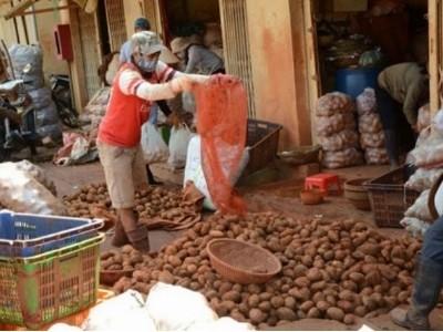 Ngày đầu lệnh cấm khoai tây Trung Quốc vào chợ nông sản có hiệu lực