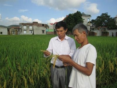 Nông dân tin tưởng kênh trả chậm qua Hội