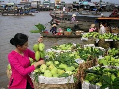 Phát triển ngành hàng xoài