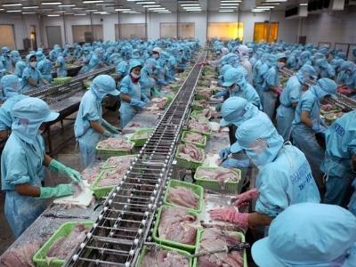 Tạo đẳng cấp cho sản phẩm cá tra trên thị trường thế giới