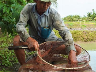 Đua tranh làm giàu ở CLB 200 triệu