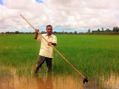 Bà đỡ nông dân ở bán đảo Cà Mau