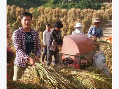 Làm giàu từ cây thảo quả