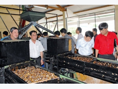Assoc targets cashew exports of US$3.5-3.7 billion