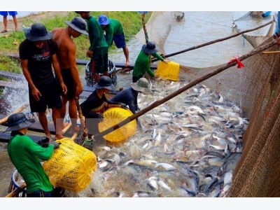 Vietnam promotes aquaculture, fishery at Algerias intl fair