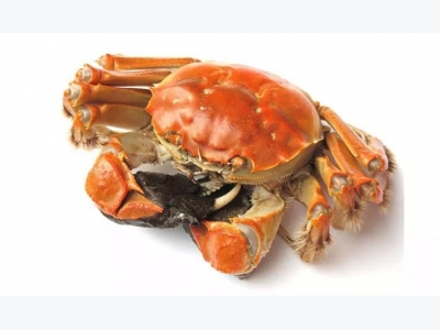 Crab makes debut on certification scheme