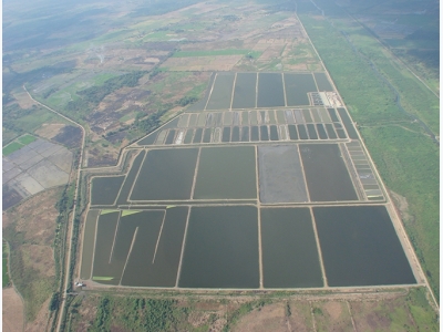 The importance of iron in aquaculture systems