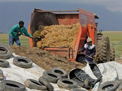 Grass Silage: what you put in is what you get out