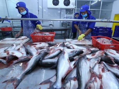 Tra fish exports likely to hit 2.1 billion USD this year