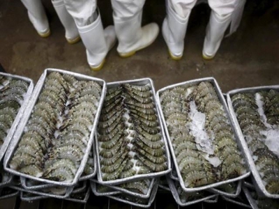 Rising dollar, market glut cut Vietnams shrimp export value