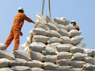 Việt Nam should improve rice quality in long-term strategy