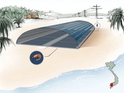 PV panels offer hope for Vietnams shrimp and pangasius producers