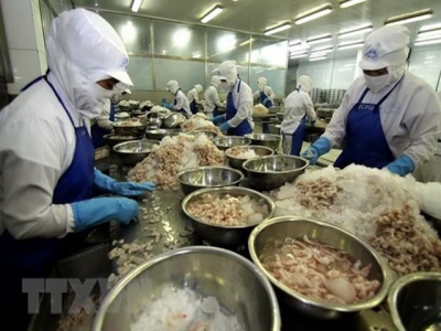 Bac Lieu province works to give its shrimp brands