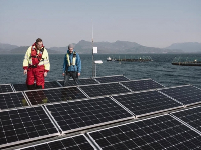 The aquaculture pioneers who are embracing the renewable energy revolution