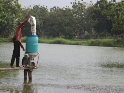 Shrimp, pangasius and tilapia farmers set to benefit from salmon sector knowledge