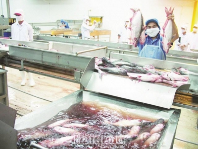 Exports of seafood unlikely to reach $10 billion