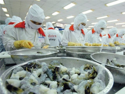 China bans shrimp imports from Ecuador, an opportunity for Vietnamese shrimps?