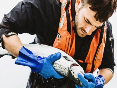 Salmon farmer explains why gill health funding is so crucial