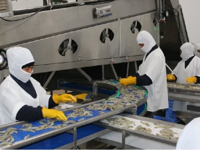 Ecuador tightens up shrimp biosecurity