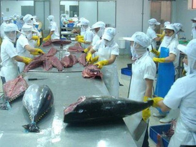 EU, US consumers keen on Vietnamese tuna and shrimp