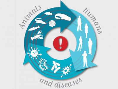 Aquatic animal disease and human health
