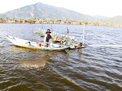 Khánh Hòa lưu ý thận trọng nuôi thủy sản lúc giao mùa