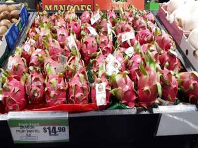 Vietnamese dragon fruit rated 5 stars in Australian markets