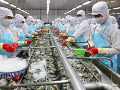 The path for the shrimp industry is still bright