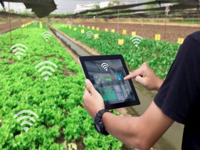 Vietnamese farmers are keenly interested in digitization