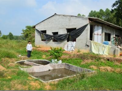 Cách nào giải độc môi trường chăn nuôi - Cứu nhiều trang trại