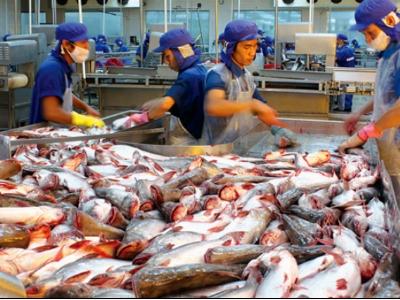 DN Việt xuất khẩu cá da trơn gặp khó khi Mỹ áp dụng quy định cuối cùng