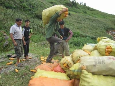 Khoảng trống của vựa ngô Sơn La