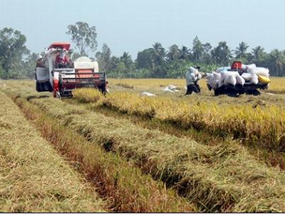 Kinh tế Hậu Giang vững tiến