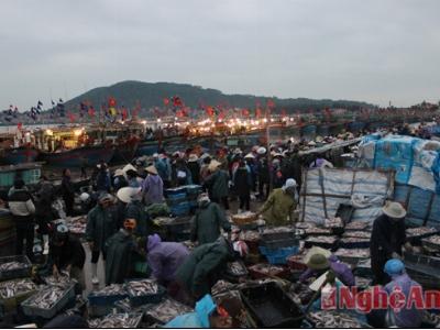 Ngư dân Quỳnh Phương trúng mùa cá xuất khẩu