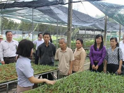 TP.HCM tái cơ cấu nền nông nghiệp động lực là khoa học công nghệ