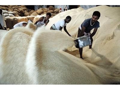 Xuất khẩu gạo Ấn Độ 2015 ước đạt 11,5 triệu tấn